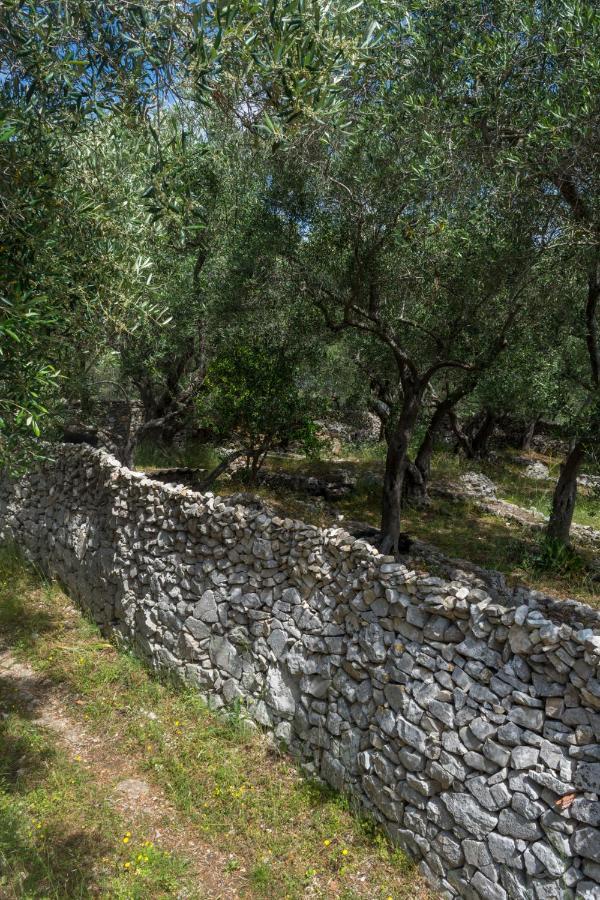 Villa Elaia Suites & Apartments No.2 Gaios Bagian luar foto